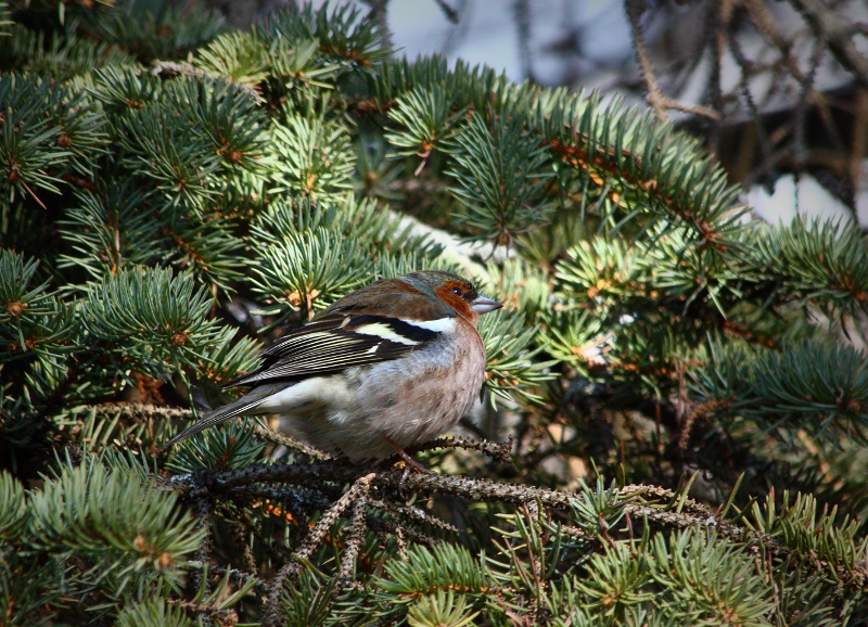 Подготовка к выступлению: