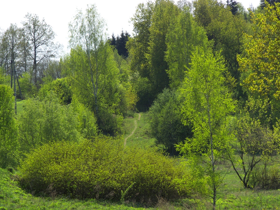 Тихое местечко