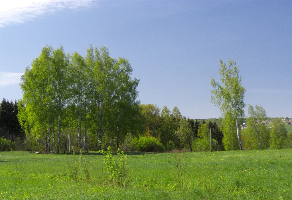 Весенний мотив №1