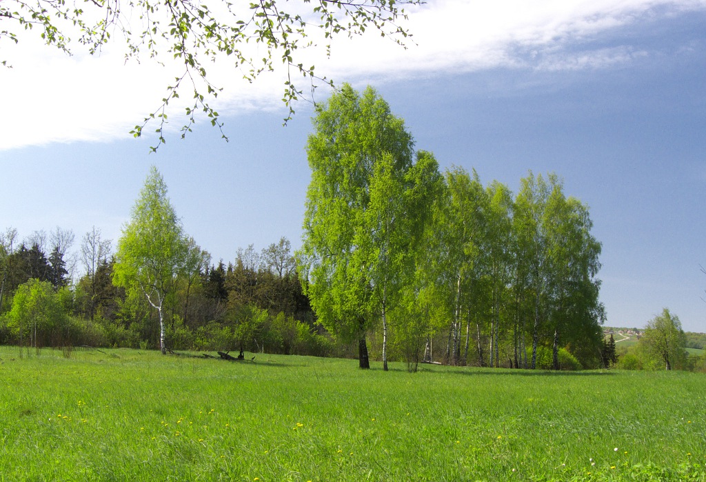 Весенний мотив №2