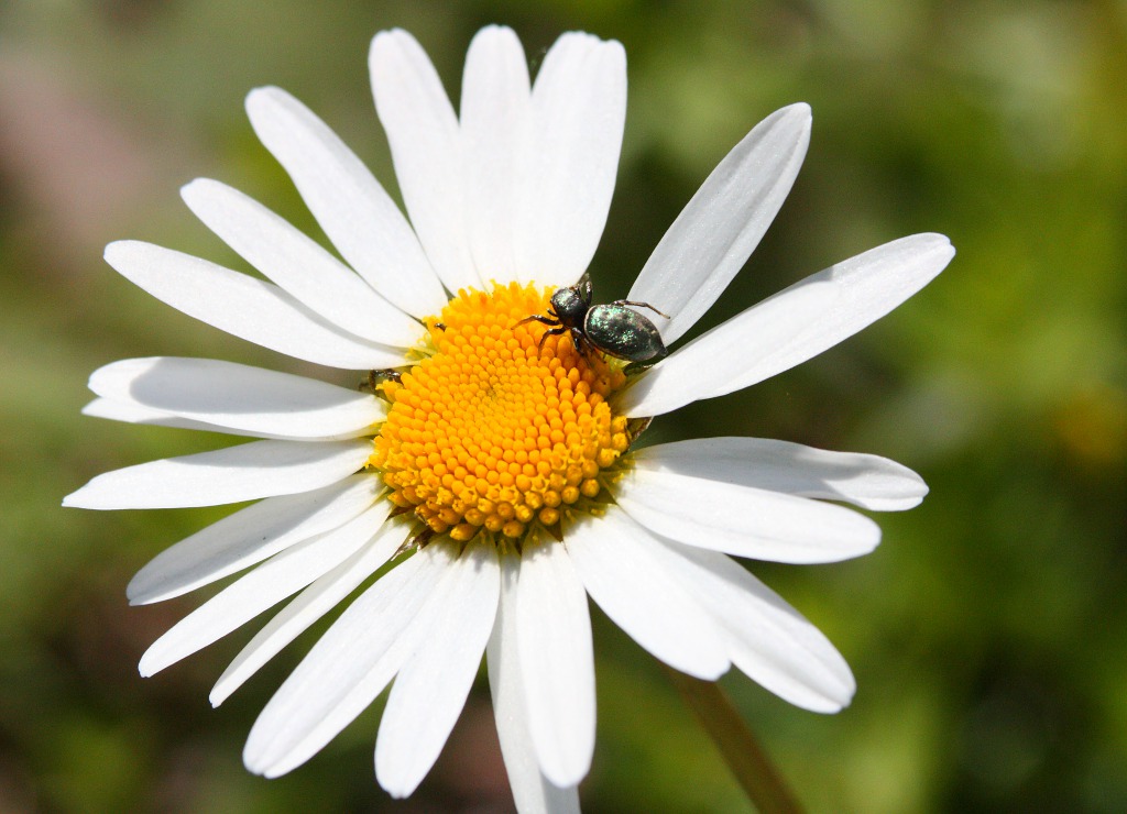 И это всё мое