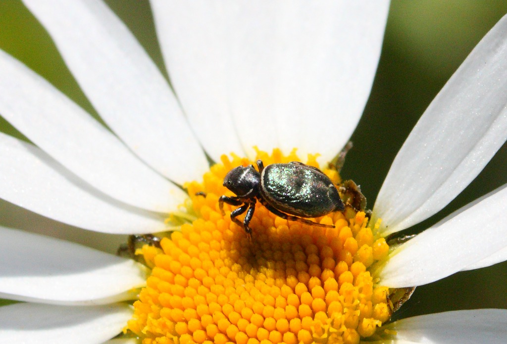 Погреюсь и покушаю