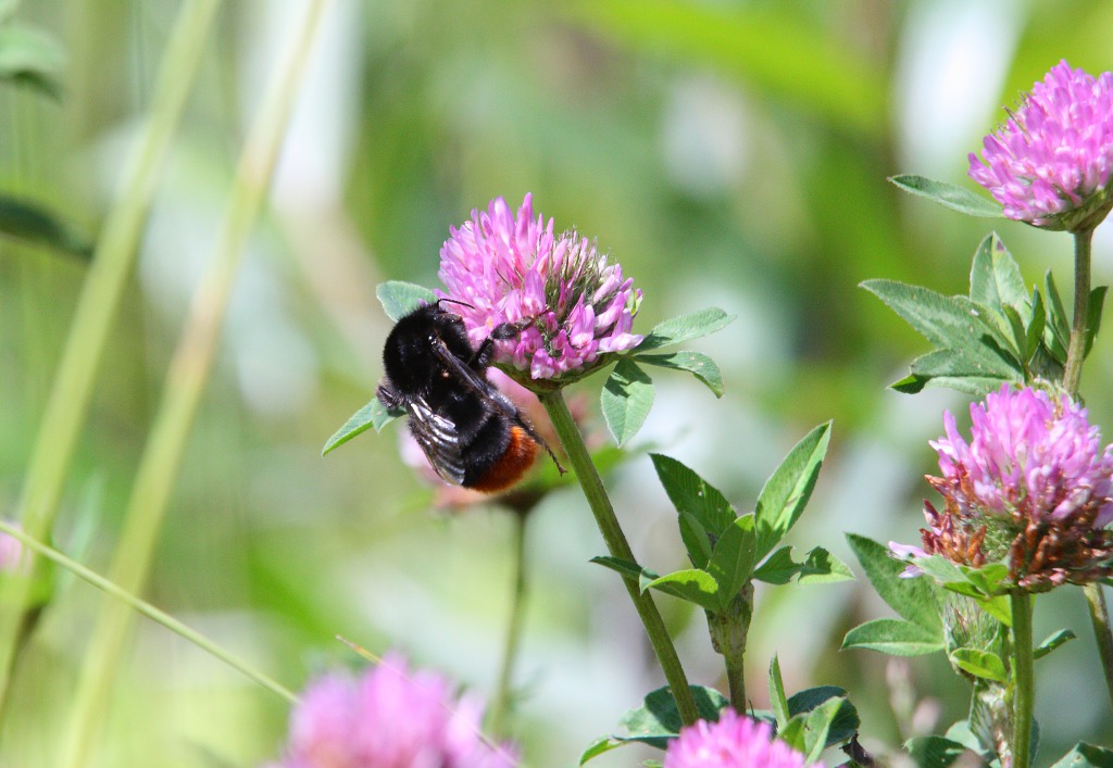 ...трудовые будни