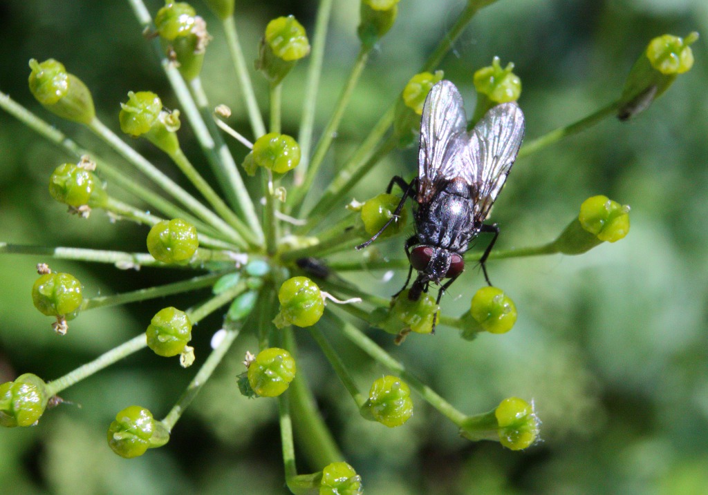 Мармеладки 2