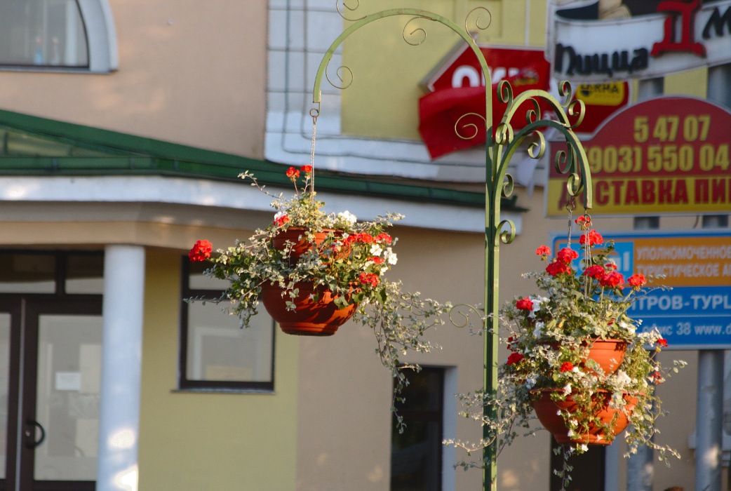 Городской натюрморт