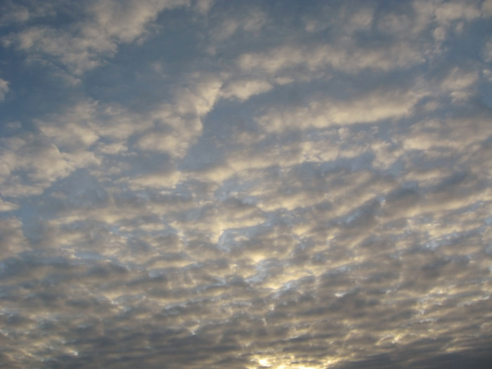 Перспектива